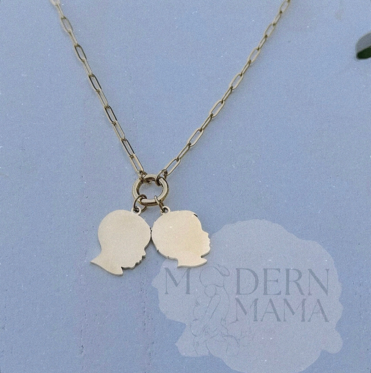 CHARM collection